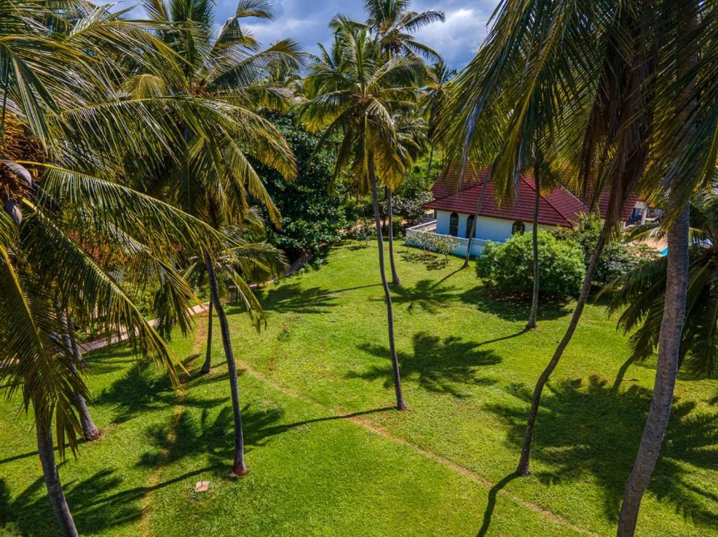 Aerial view of Garden Beach Villa, pool and beachfront