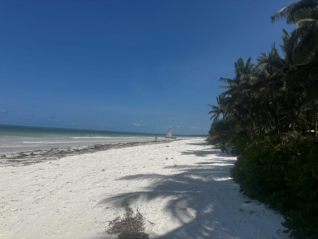 Long sweep of Matemwe beach with sailing dhow on the horizon